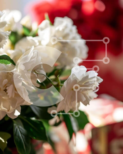 Intra Συλλεκτικό Ξύλινο Παζλ Plywood  4mm - Βάζο με λευκά λουλούδια στο τραπέζι Σε Ξύλινο Κουτί - Διαστάσεις: 10x10 cm – 25 κομμάτια