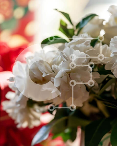 Intra Συλλεκτικό Ξύλινο Παζλ Plywood  4mm - Λευκά λουλούδια σε βάζο με κόκκινο και λευκό φιόγκοι Σε Ξύλινο Κουτί - Διαστάσεις: 10x10 cm – 25 κομμάτια