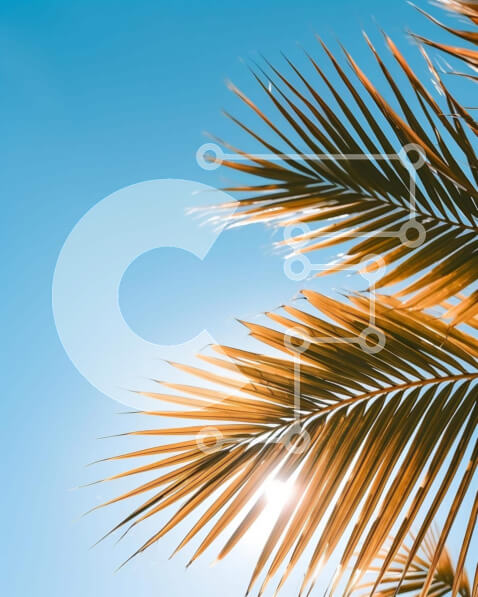 Intra Συλλεκτικό Ξύλινο Παζλ Plywood  4mm - Τροπικός φοίνικας με λαμπερό ήλιο και μπλε ουρανό Σε Ξύλινο Κουτί - Διαστάσεις: 10x10 cm – 25 κομμάτια