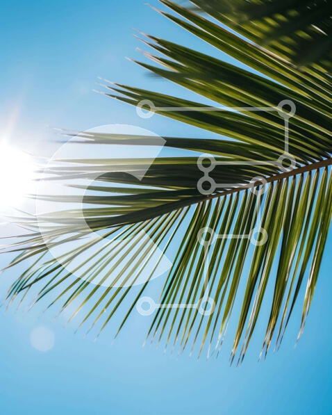 Intra Συλλεκτικό Ξύλινο Παζλ Plywood  4mm - Φύλλο φοίνικα με λαμπερό ήλιο και μπλε ουρανό Σε Ξύλινο Κουτί - Διαστάσεις: 10x10 cm – 25 κομμάτια