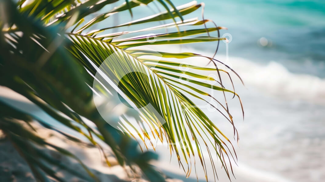 Intra Συλλεκτικό Ξύλινο Παζλ Plywood  4mm - Φύλλο φοίνικα στην αμμώδη παραλία δίπλα στον ωκεανό Σε Ξύλινο Κουτί - Διαστάσεις: 10x10 cm – 25 κομμάτια