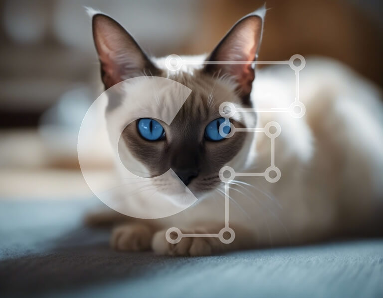 Σετ των 2 Intra Συλλεκτικό Ξύλινο Παζλ Plywood  4mm - Σιαμέζικη γάτα με μπλε μάτια ξαπλωμένη Σε Ξύλινο Κουτί - Διαστάσεις: 10x10 cm – 25 κομμάτια