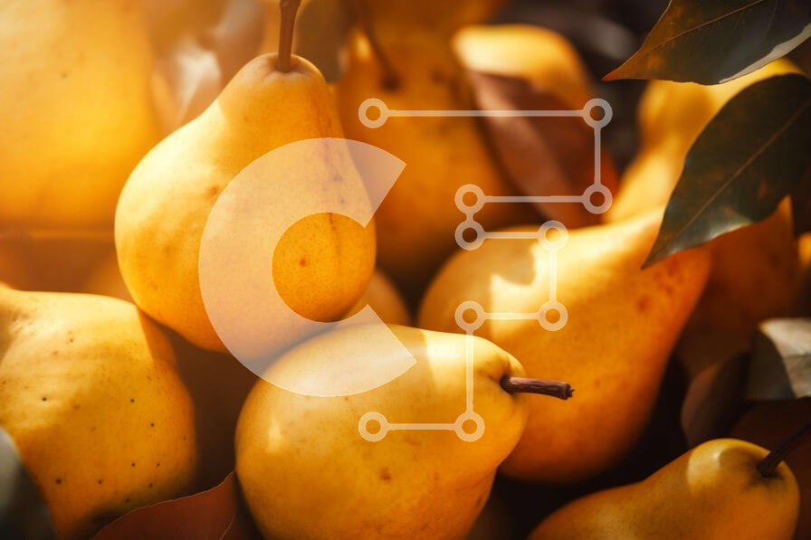 Σετ των 2 Intra Συλλεκτικό Ξύλινο Παζλ Plywood  4mm - Ομάδα ώριμων αχλαδιών που στοιβάζονται σε σχήμα πυραμίδας Σε Ξύλινο Κουτί - Διαστάσεις: 10x10 cm – 25 κομμάτια