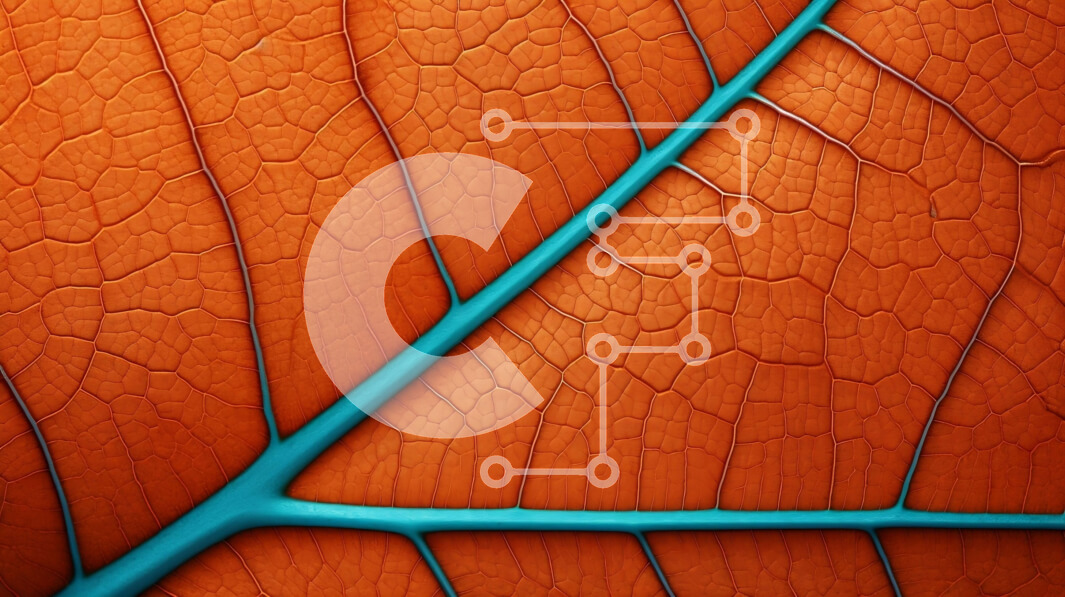 Intra Συλλεκτικό Ξύλινο Παζλ Plywood  4mm - Κοντινή όψη ενός φύλλου πορτοκαλιού με φλέβες και υφή Σε Ξύλινο Κουτί - Διαστάσεις: 10x10 cm – 25 κομμάτια