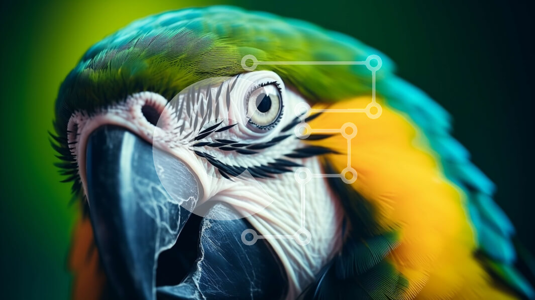 Σετ των 2 Intra Συλλεκτικό Ξύλινο Παζλ Plywood  4mm - Πολύχρωμος παπαγάλος που κοιτάζει επίμονα την κάμερα Σε Ξύλινο Κουτί - Διαστάσεις: 10x10 cm – 25 κομμάτια