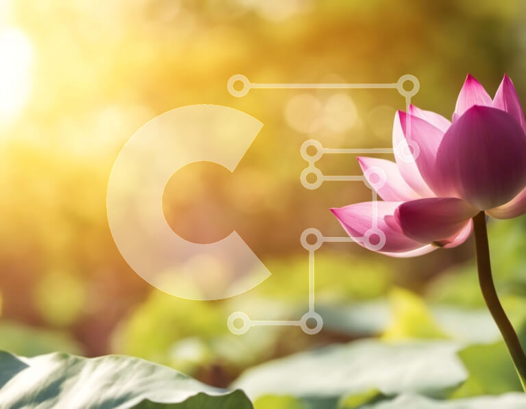 Intra Συλλεκτικό Ξύλινο Παζλ Plywood  4mm - Ροζ λουλούδι λωτού σε πλήρη άνθιση με ηλιόλουστο ουρανό και σύννεφα Σε Ξύλινο Κουτί - Διαστάσεις: 10x10 cm – 25 κομμάτια