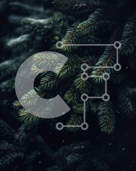 Σετ των 2 Intra Συλλεκτικό Ξύλινο Παζλ Plywood  4mm - Κοντινή όψη του κλάδου πεύκων με το χιόνι Σε Ξύλινο Κουτί - Διαστάσεις: 10x10 cm – 25 κομμάτια