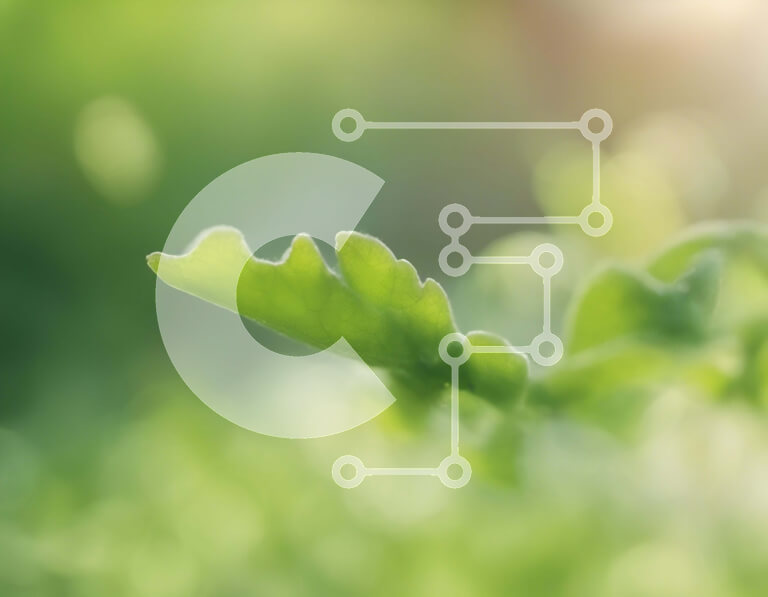 Intra Συλλεκτικό Ξύλινο Παζλ Plywood  4mm - Πράσινο φύλλο με θολό φόντο Σε Ξύλινο Κουτί - Διαστάσεις: 10x10 cm – 25 κομμάτια