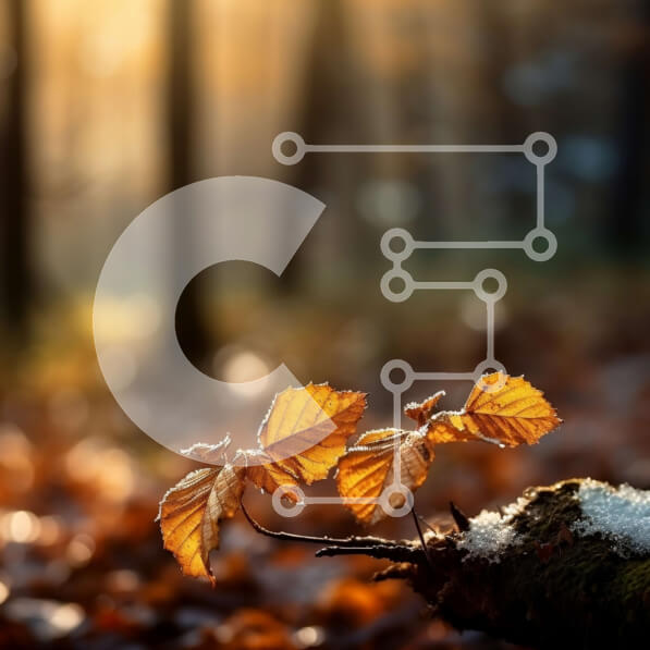 Intra Συλλεκτικό Ξύλινο Παζλ Plywood  4mm - Όμορφη εικόνα ενός κίτρινου φύλλου σε ένα κλαδί δέντρου σε ένα δάσος στο ηλιοβασίλεμα Σε Ξύλινο Κουτί - Διαστάσεις: 10x10 cm – 25 κομμάτια