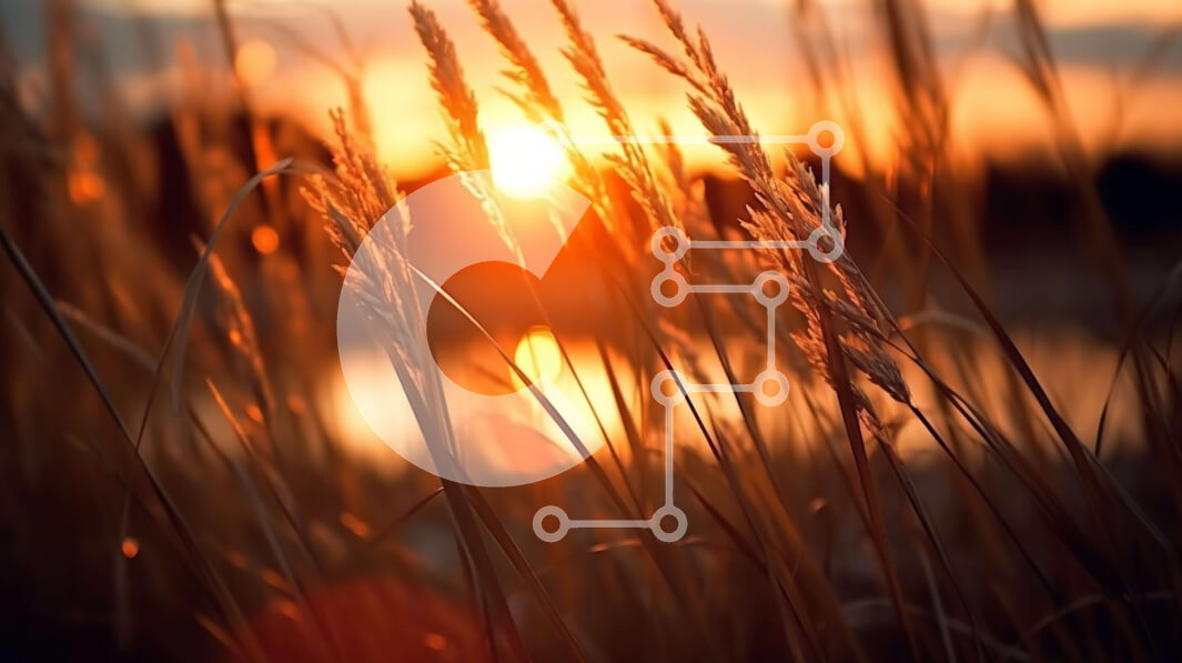 Intra Συλλεκτικό Ξύλινο Παζλ Plywood  4mm - Όμορφη σκηνή ηλιοβασιλέματος με ψηλό γρασίδι που φυσά στον άνεμο Σε Ξύλινο Κουτί - Διαστάσεις: 10x10 cm – 25 κομμάτια