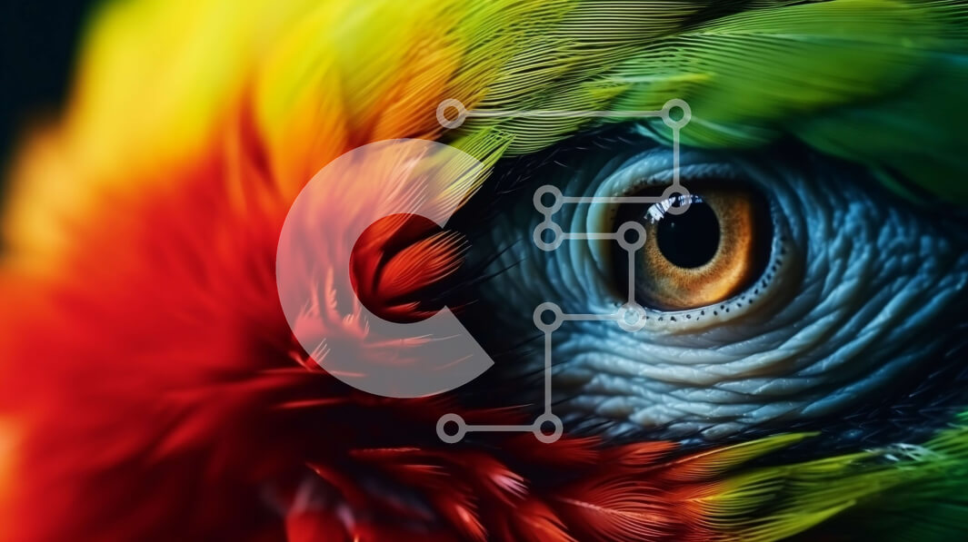 Σετ των 2 Intra Συλλεκτικό Ξύλινο Παζλ Plywood  4mm - Κοντινό πλάνο του ματιού ενός πολύχρωμου παπαγάλου Σε Ξύλινο Κουτί - Διαστάσεις: 10x10 cm – 25 κομμάτια