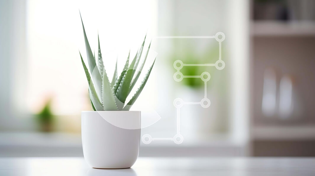 Intra Συλλεκτικό Ξύλινο Παζλ Plywood  4mm - Φυτό Aloe Vera σε Λευκή γλάστρα Σε Ξύλινο Κουτί - Διαστάσεις: 10x10 cm – 25 κομμάτια