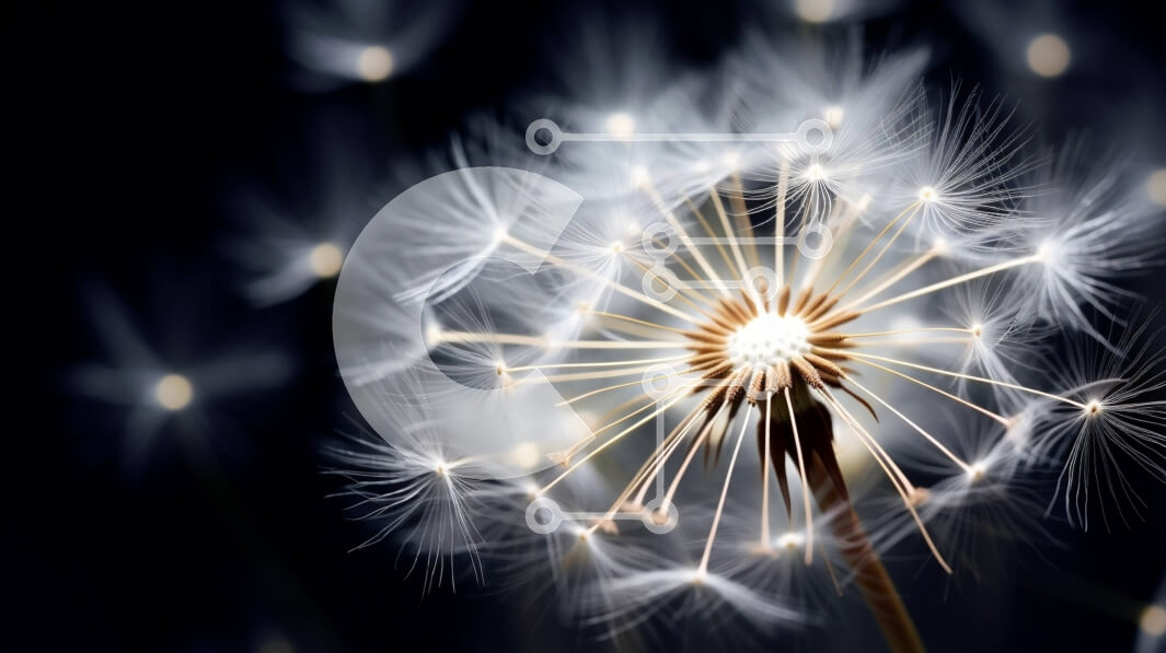 Intra Συλλεκτικό Ξύλινο Παζλ Plywood  4mm - Μονό λουλούδι πικραλίδας σε πλήρη άνθιση με διάσπαρτους σπόρους Σε Ξύλινο Κουτί - Διαστάσεις: 10x10 cm – 25 κομμάτια