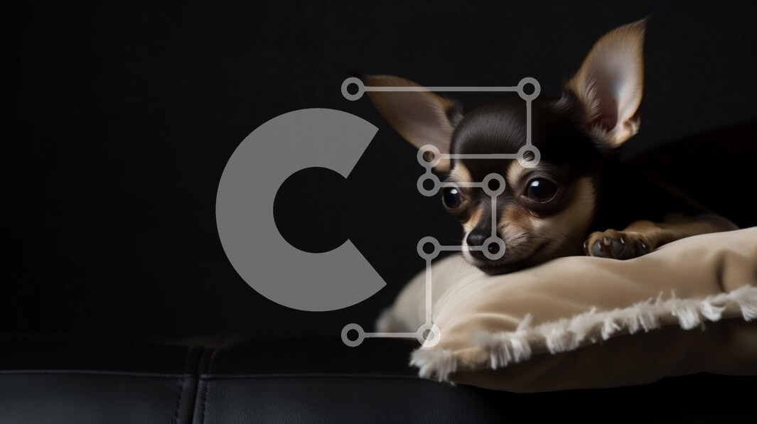 Σετ των 2 Intra Συλλεκτικό Ξύλινο Παζλ Plywood  4mm - Αξιολάτρευτο σκυλί που ξαπλώνει σε πορτοκαλί μαξιλάρι Σε Ξύλινο Κουτί - Διαστάσεις: 10x10 cm – 25 κομμάτια