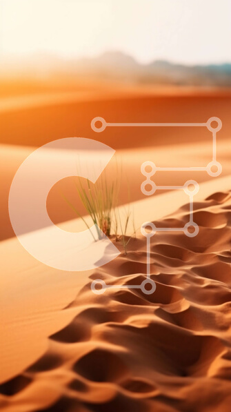 Intra Συλλεκτικό Ξύλινο Παζλ Plywood  4mm - Όμορφη εικόνα ενός αμμόλοφου στο ηλιοβασίλεμα με γρασίδι Σε Ξύλινο Κουτί - Διαστάσεις Puzzle: 10x10 cm – 25 κομμάτια