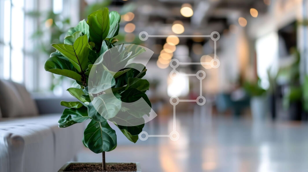 Intra Συλλεκτικό Ξύλινο Παζλ Plywood  4mm - Μικρό φυτό σε γλάστρα σε έναν καλά φωτισμένο χώρο γραφείου Σε Ξύλινο Κουτί - Διαστάσεις Puzzle: 10x10 cm – 25 κομμάτια