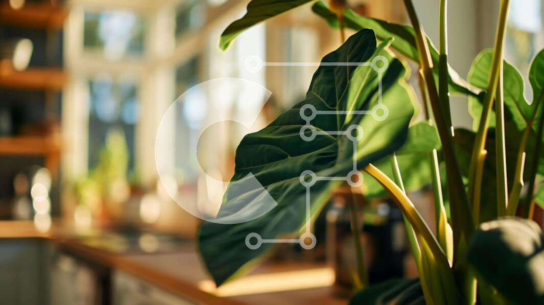 Intra Συλλεκτικό Ξύλινο Παζλ Plywood  4mm - Φυτό εσωτερικού χώρου σε γλάστρα στο παράθυρο κουζίνας Σε Ξύλινο Κουτί - Διαστάσεις Puzzle: 10x10 cm – 25 κομμάτια