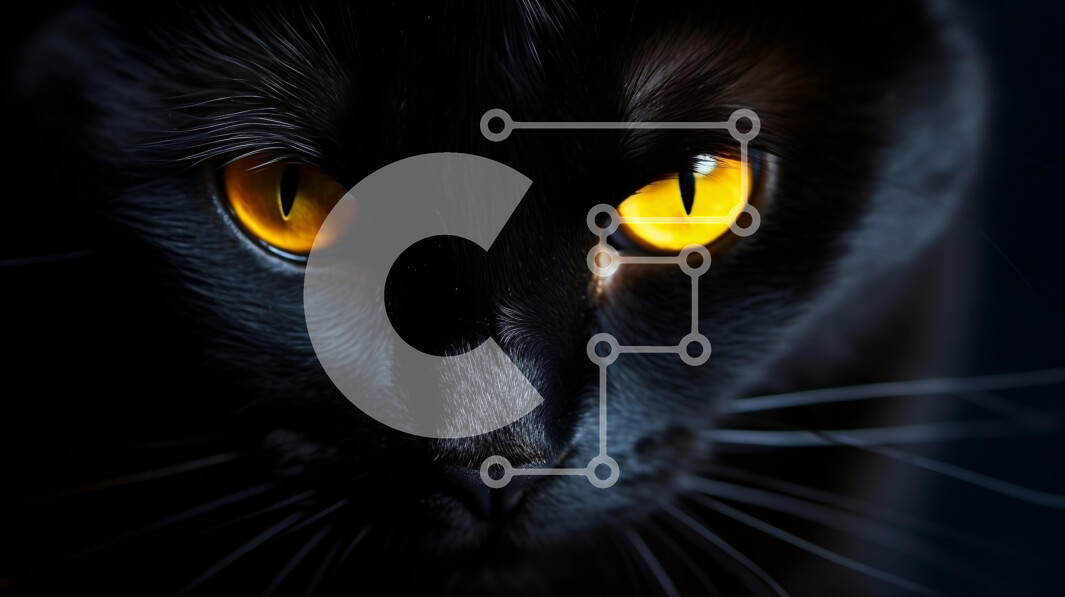 Σετ των 2 Intra Συλλεκτικό Ξύλινο Παζλ Plywood  4mm - Κοντινό πλάνο μιας περίεργης μαύρης γάτας με φωτεινά κίτρινα μάτια Σε Ξύλινο Κουτί - Διαστάσεις: 10x10 cm – 25 κομμάτια