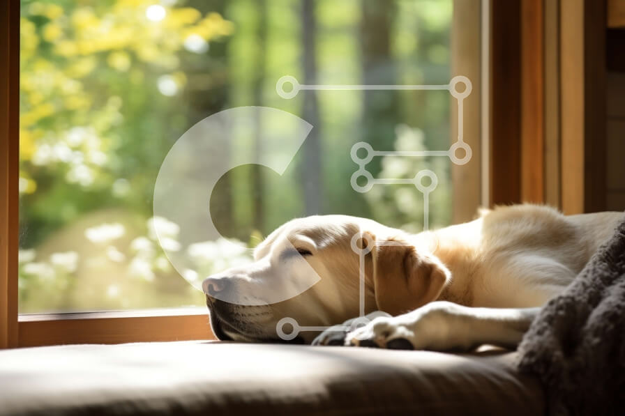 Σετ των 2 Intra Συλλεκτικό Ξύλινο Παζλ Plywood  4mm - Άνετη εικόνα ενός σκύλου που κοιμάται σε έναν καναπέ με όμορφη θέα Σε Ξύλινο Κουτί - Διαστάσεις: 10x10 cm – 25 κομμάτια