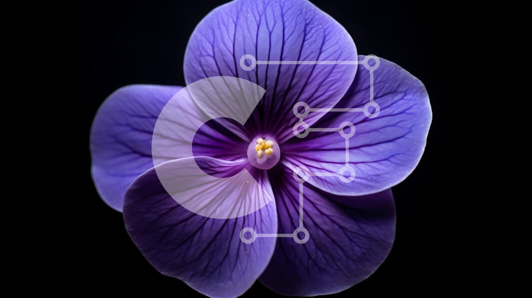 Intra Συλλεκτικό Ξύλινο Παζλ Plywood  4mm - Κοντινό πλάνο ενός ανθισμένου μωβ λουλουδιού Σε Ξύλινο Κουτί - Διαστάσεις: 10x10 cm – 25 κομμάτια