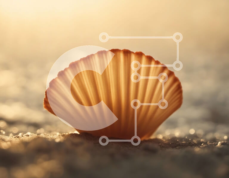 Intra Συλλεκτικό Ξύλινο Παζλ Plywood  4mm - Κοχύλι στην αμμώδη παραλία στο ηλιοβασίλεμα Σε Ξύλινο Κουτί - Διαστάσεις: 10x10 cm – 25 κομμάτια