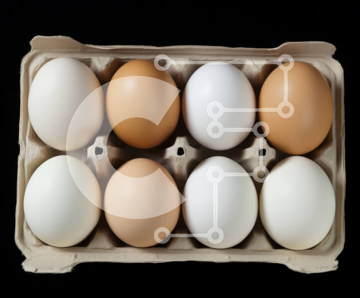 Σετ των 2 Intra Συλλεκτικό Ξύλινο Παζλ Plywood  4mm - Κουτί με αυγά - φρέσκα και βιολογικά Σε Ξύλινο Κουτί - Διαστάσεις: 10x10 cm – 25 κομμάτια