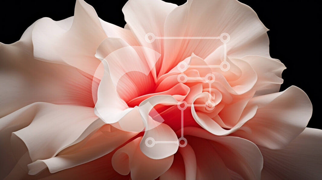 Intra Συλλεκτικό Ξύλινο Παζλ Plywood  4mm - Κοντινό πλάνο ροζ λουλουδιών ορχιδέας σε μαύρο φόντο Σε Ξύλινο Κουτί - Διαστάσεις: 10x10 cm – 25 κομμάτια