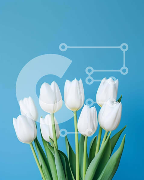 Intra Συλλεκτικό Ξύλινο Παζλ Plywood  4mm - Κομψές λευκές τουλίπες σε βάζο Σε Ξύλινο Κουτί - Διαστάσεις: 10x10 cm – 25 κομμάτια