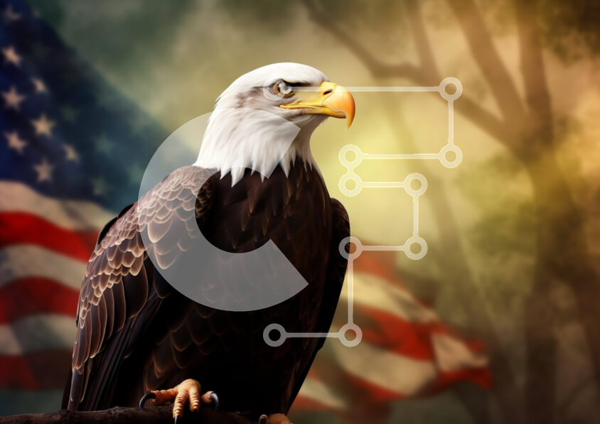 Σετ των 2 Intra Συλλεκτικό Ξύλινο Παζλ Plywood  4mm - Αετός σκαρφαλωμένος σε ένα κλαδί δέντρου με αμερικανική σημαία Σε Ξύλινο Κουτί - Διαστάσεις: 10x10 cm – 25 κομμάτια