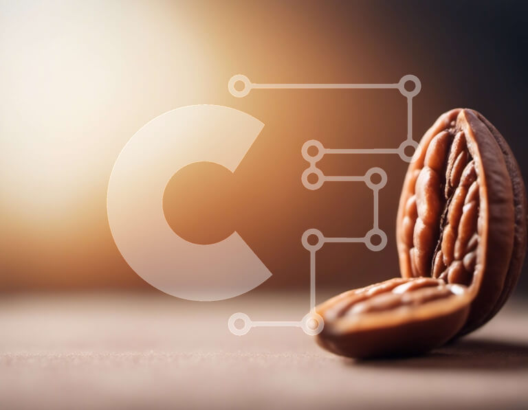 Σετ των 2 Intra Συλλεκτικό Ξύλινο Παζλ Plywood  4mm - Σπασμένο καρύδι πεκάν με βρώσιμο κρέας μέσα Σε Ξύλινο Κουτί - Διαστάσεις: 10x10 cm – 25 κομμάτια