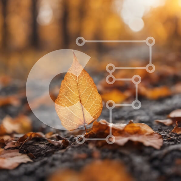 Intra Συλλεκτικό Ξύλινο Παζλ Plywood  4mm - Μονό κίτρινο φύλλο σε ένα δάσος με πορτοκαλί και κίτρινα φύλλα Σε Ξύλινο Κουτί - Διαστάσεις: 10x10 cm – 25 κομμάτια