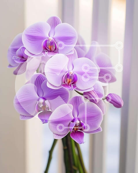 Intra Συλλεκτικό Ξύλινο Παζλ Plywood  4mm - Μωβ λουλούδια ορχιδέας σε βάζο σε περβάζι παραθύρου Σε Ξύλινο Κουτί - Διαστάσεις: 10x10 cm – 25 κομμάτια