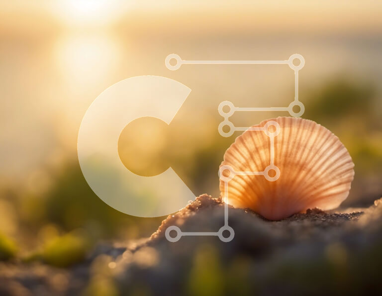 Intra Συλλεκτικό Ξύλινο Παζλ Plywood  4mm - Ροζ κοχύλι στην αμμώδη παραλία με το ηλιοβασίλεμα Σε Ξύλινο Κουτί - Διαστάσεις: 10x10 cm – 25 κομμάτια