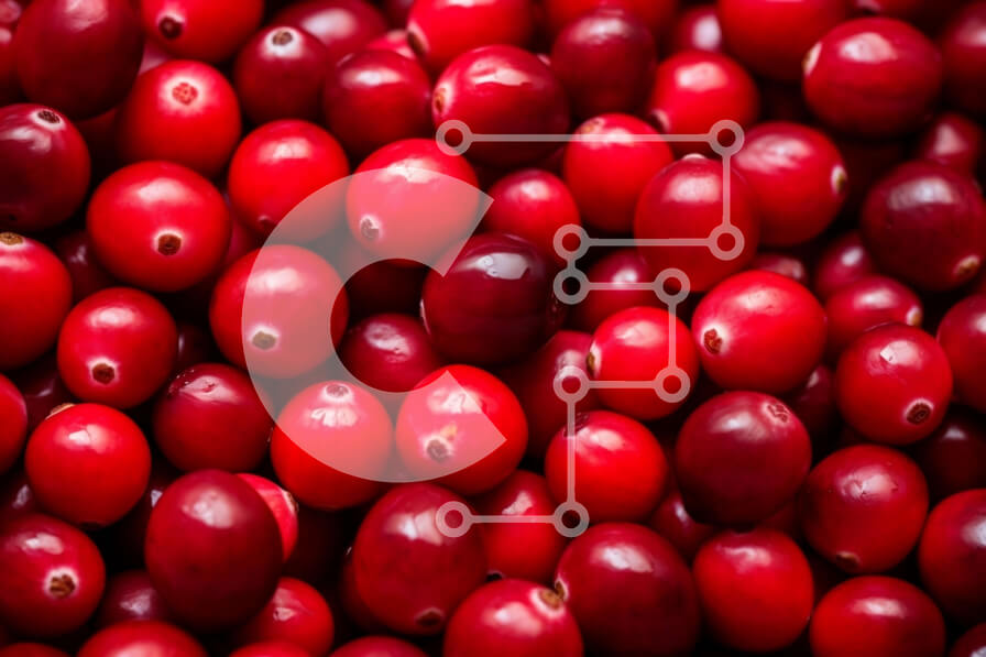 Σετ των 2 Intra Συλλεκτικό Ξύλινο Παζλ Plywood  4mm - Κοντινό πλάνο στοιβαγμένων κόκκινων βακκίνιων Σε Ξύλινο Κουτί - Διαστάσεις: 10x10 cm – 25 κομμάτια