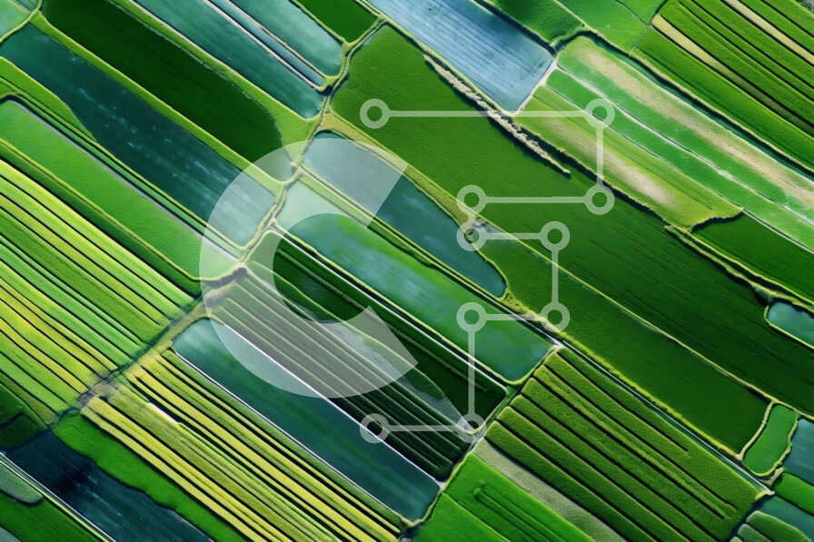 Intra Συλλεκτικό Ξύλινο Παζλ Plywood  4mm - Εκπληκτική εναέρια λήψη ενός πράσινου γηπέδου Σε Ξύλινο Κουτί - Διαστάσεις: 10x10 cm – 25 κομμάτια