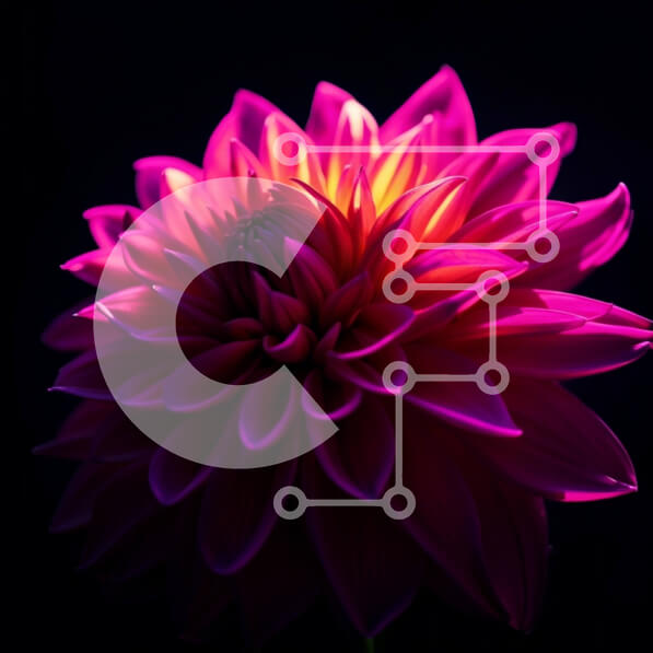 Intra Συλλεκτικό Ξύλινο Παζλ Plywood  4mm - Εκπληκτική κινηματογράφηση σε πρώτο πλάνο ενός ροζ λουλουδιού με έντονο φως Σε Ξύλινο Κουτί - Διαστάσεις: 10x10 cm – 25 κομμάτια