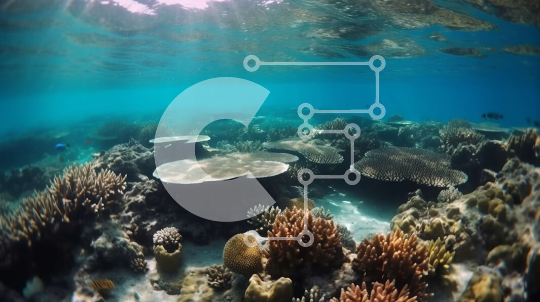 Intra Συλλεκτικό Ξύλινο Παζλ Plywood  4mm - Ζωντανή εικόνα ενός κοραλλιογενούς υφάλου με διάφορα είδη κοραλλιών και θαλάσσια ζωή Σε Ξύλινο Κουτί - Διαστάσεις: 10x10 cm – 25 κομμάτια