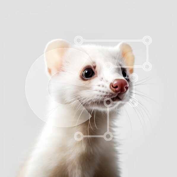 Intra Συλλεκτικό Ξύλινο Παζλ Plywood  4mm - Αξιολάτρευτη εικόνα ενός περίεργου κουνάβι που κοιτάζει κατευθείαν την κάμερα Σε Ξύλινο Κουτί - Διαστάσεις: 10x10 cm – 25 κομμάτια