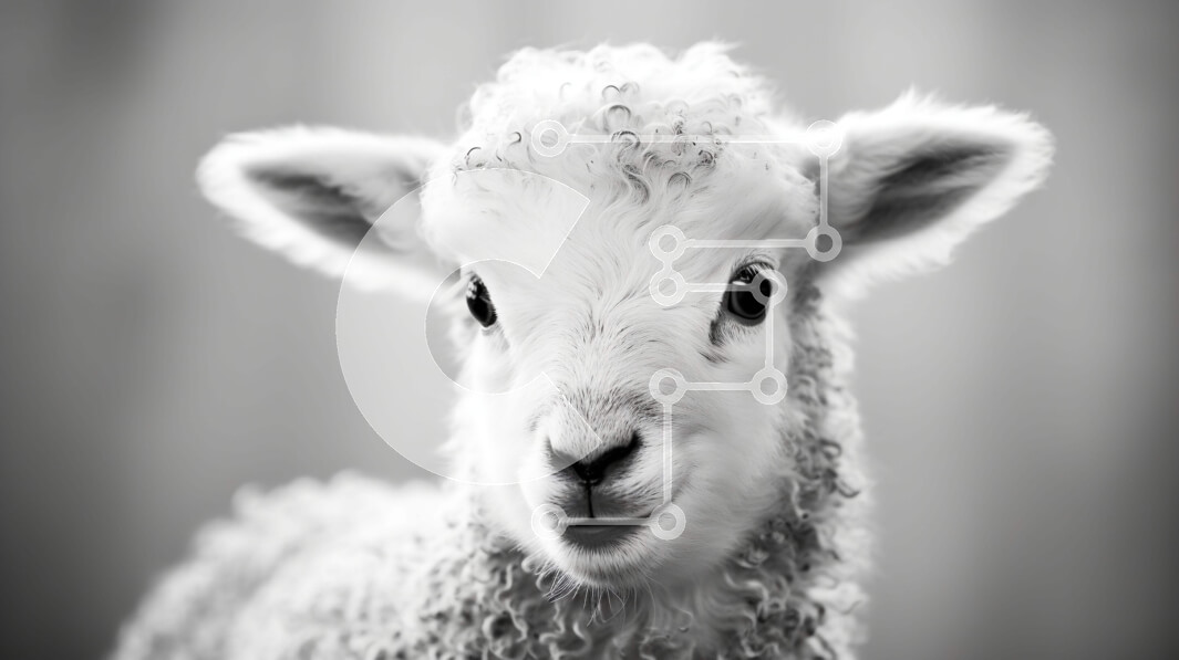 Σετ των 2 Intra Συλλεκτικό Ξύλινο Παζλ Plywood  4mm - Αξιολάτρευτο Baby Lamb Close-up Σε Ξύλινο Κουτί - Διαστάσεις: 10x10 cm – 25 κομμάτια