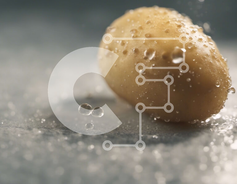 Σετ των 2 Intra Συλλεκτικό Ξύλινο Παζλ Plywood  4mm - Υγρή πατάτα καλυμμένη με σταγονίδια νερού Σε Ξύλινο Κουτί - Διαστάσεις: 10x10 cm – 25 κομμάτια