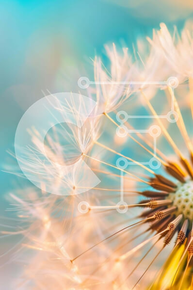 Σετ των 2 Intra Συλλεκτικό Ξύλινο Παζλ Plywood  4mm - Κοντινό πλάνο του λουλουδιού πικραλίδα με αφράτους λευκούς σπόρους Σε Ξύλινο Κουτί - Διαστάσεις: 10x10 cm – 25 κομμάτια