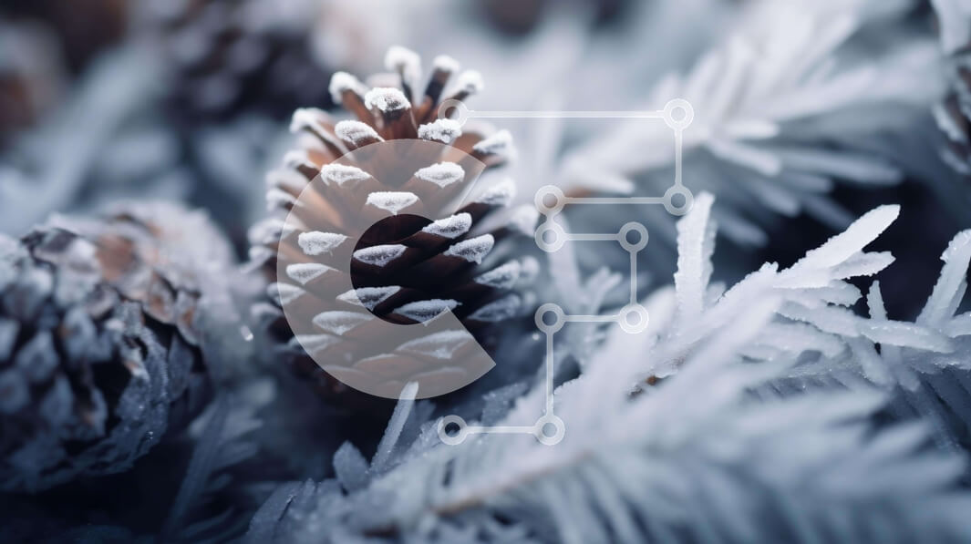 Intra Συλλεκτικό Ξύλινο Παζλ Plywood  4mm - Κοντινό πλάνο με παγωμένα κουκουνάρια που καλύπτονται από νιφάδες χιονιού Σε Ξύλινο Κουτί - Διαστάσεις: 10x10 cm – 25 κομμάτια