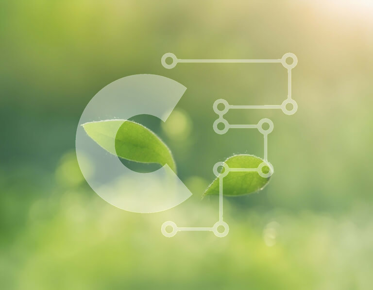 Intra Συλλεκτικό Ξύλινο Παζλ Plywood  4mm - Δύο πράσινα φύλλα που φυτρώνουν από το γρασίδι Σε Ξύλινο Κουτί - Διαστάσεις: 10x10 cm – 25 κομμάτια