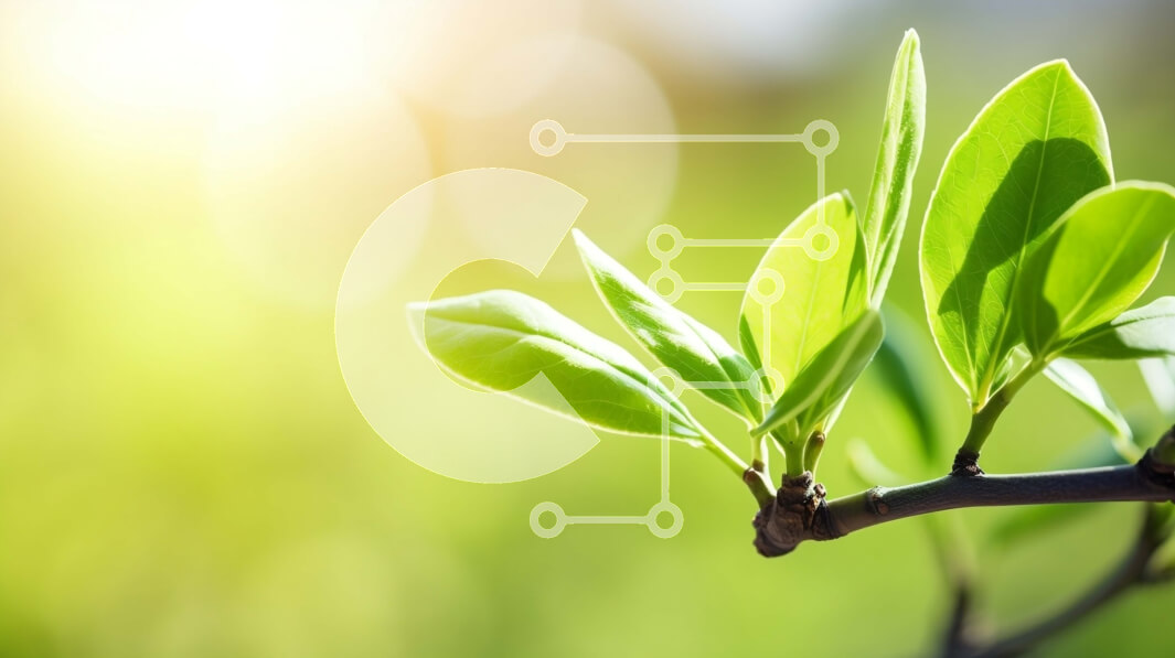 Intra Συλλεκτικό Ξύλινο Παζλ Plywood  4mm - Κοντινό πλάνο του κλάδου δέντρου με τα πράσινα φύλλα Σε Ξύλινο Κουτί - Διαστάσεις: 10x10 cm – 25 κομμάτια