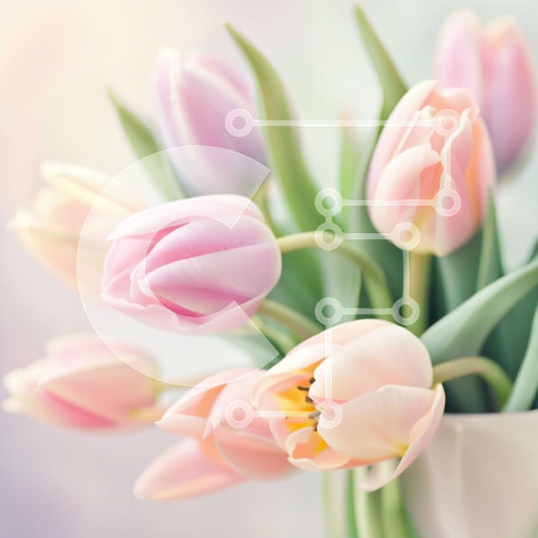 Σετ των 2 Intra Συλλεκτικό Ξύλινο Παζλ Plywood  4mm - Όμορφη εικόνα με ροζ τουλίπες σε βάζο Σε Ξύλινο Κουτί - Διαστάσεις: 10x10 cm – 25 κομμάτια