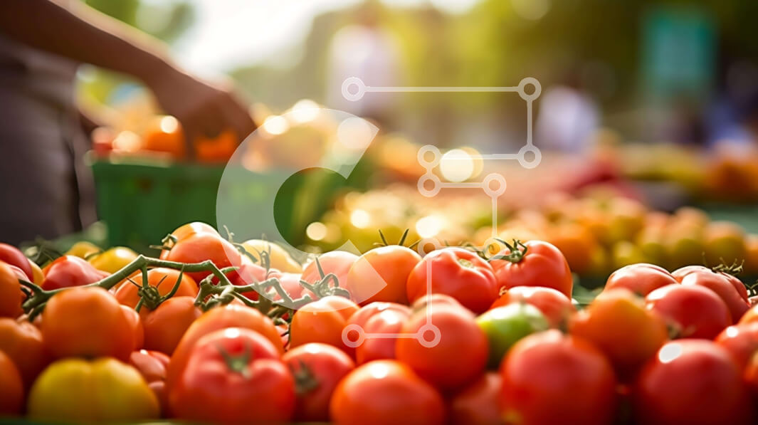 Σετ των 2 Intra Συλλεκτικό Ξύλινο Παζλ Plywood  4mm - Αγορά αγροτών με φρέσκες ντομάτες, καρότα, πατάτες και αγγούρια Σε Ξύλινο Κουτί - Διαστάσεις: 10x10 cm – 25 κομμάτια