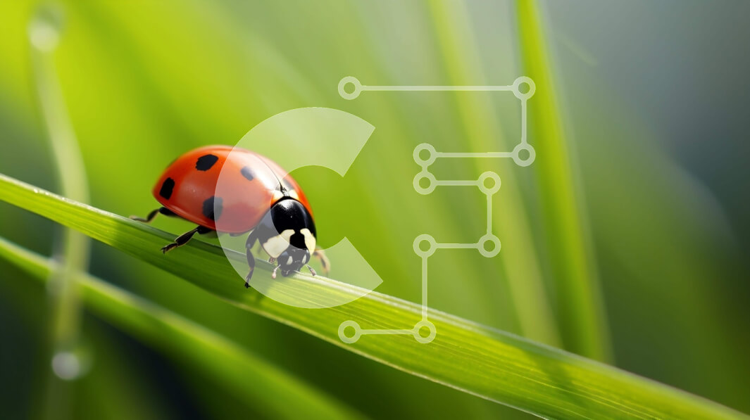 Intra Συλλεκτικό Ξύλινο Παζλ Plywood  4mm - Πασχαλίτσα στο πράσινο γρασίδι με σταγόνες νερού Σε Ξύλινο Κουτί - Διαστάσεις: 10x10 cm – 25 κομμάτια