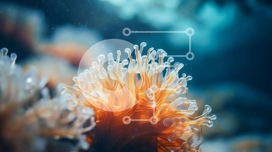 Intra Συλλεκτικό Ξύλινο Παζλ Plywood  4mm - Κοντινό πλάνο μιας πορτοκαλί και λευκής θαλάσσιας ανεμώνης υποβρύχια Σε Ξύλινο Κουτί - Διαστάσεις: 10x10 cm – 25 κομμάτια