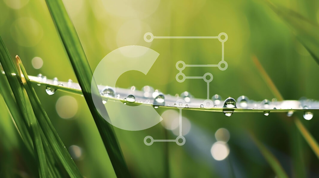 Intra Συλλεκτικό Ξύλινο Παζλ Plywood  4mm - Δροσοσταλίδες σε μια λεπίδα χόρτου Σε Ξύλινο Κουτί - Διαστάσεις: 10x10 cm – 25 κομμάτια