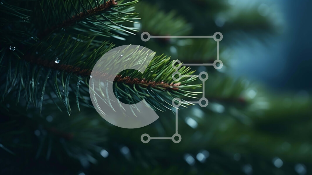 Intra Συλλεκτικό Ξύλινο Παζλ Plywood  4mm - Κλαδί δέντρου πράσινου πεύκου με σταγόνες νερού Σε Ξύλινο Κουτί - Διαστάσεις: 10x10 cm – 25 κομμάτια